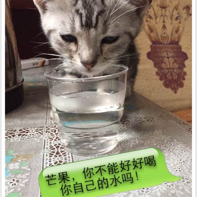 女方房产证加名字什么意思